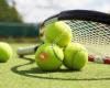 Tennisvereniging de Geer