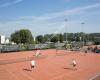 Tennisvereniging Dierdonk