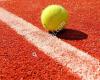 Tennisvereniging Udenhout