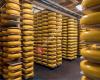 The Dutch Cheese Store