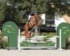 The Youngsters - Auction of Young Showjumpers