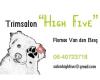 Trimsalon '' High Five''