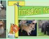 Trimsalon  Hondenuitlaat en huisdierenverzorging Nesselande