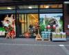 Trimsalon Pets Place Asten