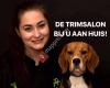 Trimsalon 't Kwispeltje