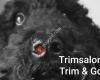 Trimsalon Trim & Go