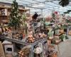 Tuincentrum Planten en Zo