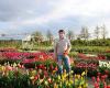 Tulip Store Showgarden