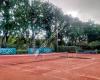 Tulip Tennisvereniging Hilversum