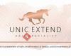 Unic Extensions