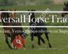 Universal Horse Trading