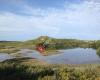 Vakantiehuis Regina Nostra op Terschelling