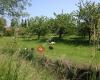 Vakantiewoning t Gasthu