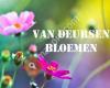 Van Deursen BLOEMEN