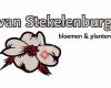 Van Stekelenburg Bloemen & Planten