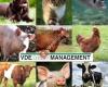 VDE Agro Management