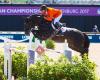 VDL Stud
