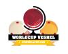 Veghel Worldcup