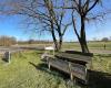 Veluwe Houtbeek parkeerplaats