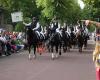 Vereniging Het Groninger Paard