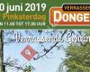 Verrassend Dongen