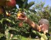 Vink Fruitboerderij