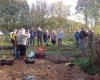 Voedselbos / eetbare tuin - van ontwerp tot aanleg