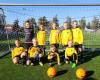 Voetbalvereniging Reiger Boys