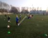 Voetbalvereniging S.E.H.