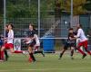 Voetbalvereniging SDZ