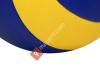 Volleybalvereniging Rosstars
