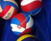 Volleybalvereniging SBO Minnertsga