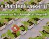 Voorne's Plantenkwekerij B.V.
