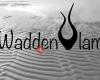 Waddenvlam