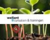 Wellantcollege Cursussen & Trainingen