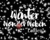 Winter Wonder Weken Leiden