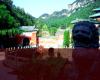 Wudang Wushu school of Martial Arts