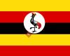 Xplore Uganda 2019 - Emke Vossen