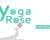 Yoga Rose