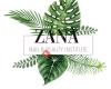 Zana Nail & Beauty Institute
