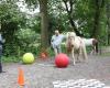 Zelfbewust met paarden