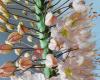 ZON bloemstyling
